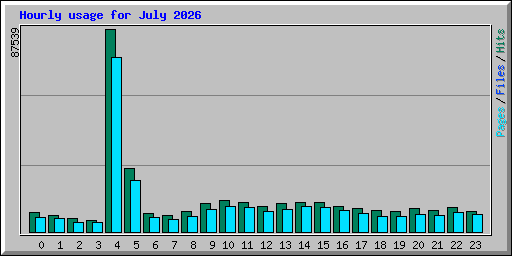 Hourly usage for July 2026