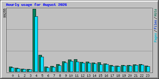 Hourly usage for August 2026